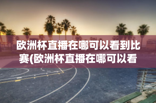 欧洲杯直播在哪可以看到比赛(欧洲杯直播在哪可以看到比赛结果)