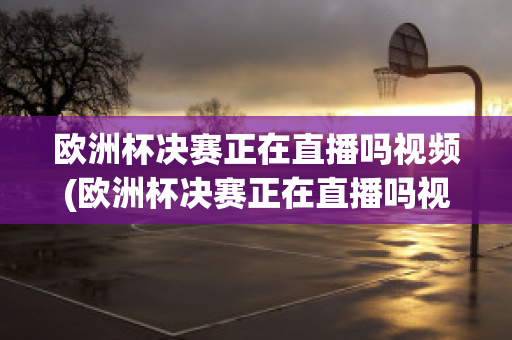 欧洲杯决赛正在直播吗视频(欧洲杯决赛正在直播吗视频在线观看)