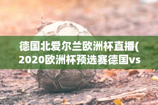 德国北爱尔兰欧洲杯直播(2020欧洲杯预选赛德国vs北爱尔兰)