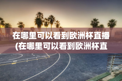 在哪里可以看到欧洲杯直播(在哪里可以看到欧洲杯直播视频)