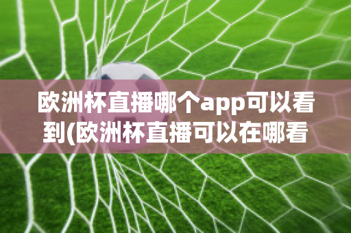 欧洲杯直播哪个app可以看到(欧洲杯直播可以在哪看)