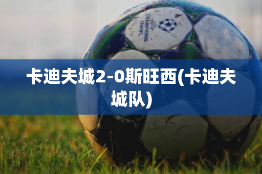 卡迪夫城2-0斯旺西(卡迪夫城队)