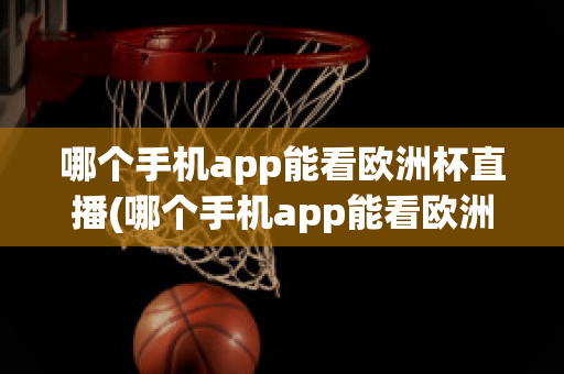 哪个手机app能看欧洲杯直播(哪个手机app能看欧洲杯直播视频)