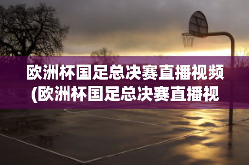 欧洲杯国足总决赛直播视频(欧洲杯国足总决赛直播视频在线观看)