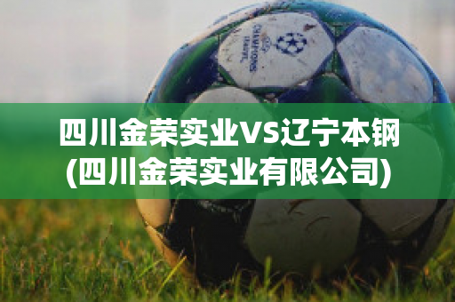 四川金荣实业VS辽宁本钢(四川金荣实业有限公司)