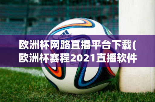 欧洲杯网路直播平台下载(欧洲杯赛程2021直播软件)