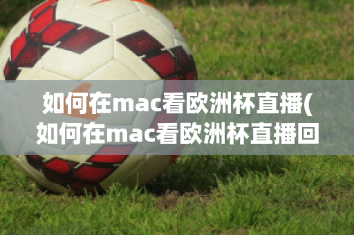 如何在mac看欧洲杯直播(如何在mac看欧洲杯直播回放)