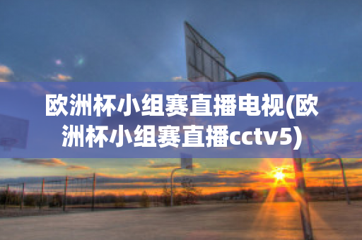 欧洲杯小组赛直播电视(欧洲杯小组赛直播cctv5)