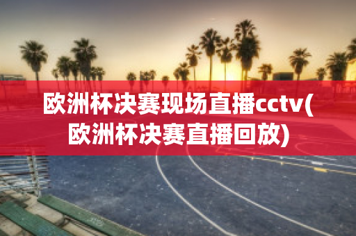 欧洲杯决赛现场直播cctv(欧洲杯决赛直播回放)