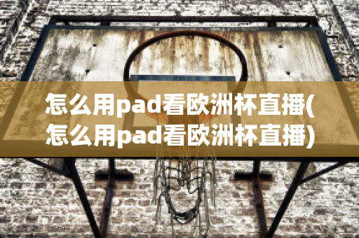 怎么用pad看欧洲杯直播(怎么用pad看欧洲杯直播)