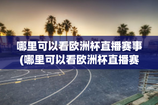 哪里可以看欧洲杯直播赛事(哪里可以看欧洲杯直播赛事视频)