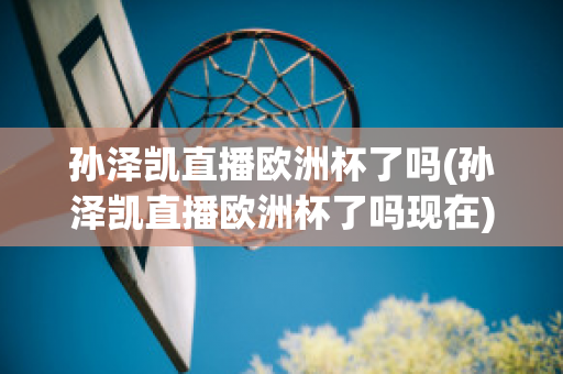 孙泽凯直播欧洲杯了吗(孙泽凯直播欧洲杯了吗现在)