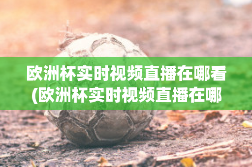 欧洲杯实时视频直播在哪看(欧洲杯实时视频直播在哪看回放)