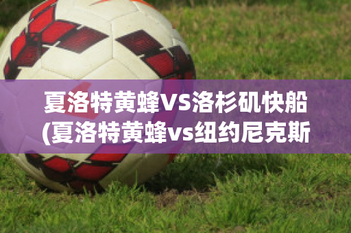 夏洛特黄蜂VS洛杉矶快船(夏洛特黄蜂vs纽约尼克斯)