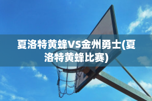 夏洛特黄蜂VS金州勇士(夏洛特黄蜂比赛)