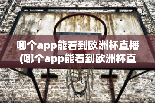 哪个app能看到欧洲杯直播(哪个app能看到欧洲杯直播视频)