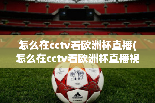 怎么在cctv看欧洲杯直播(怎么在cctv看欧洲杯直播视频)