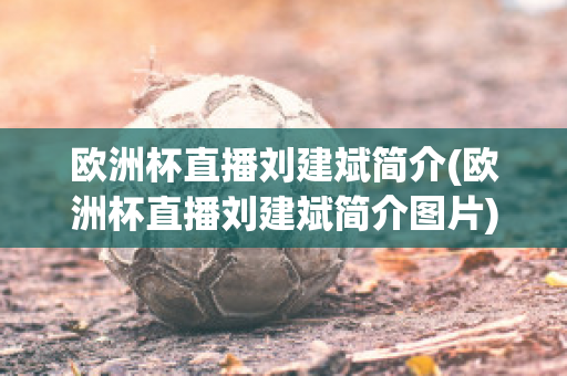 欧洲杯直播刘建斌简介(欧洲杯直播刘建斌简介图片)