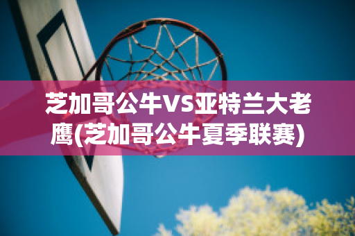 芝加哥公牛VS亚特兰大老鹰(芝加哥公牛夏季联赛)