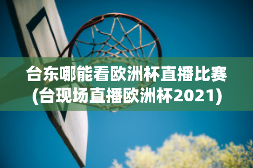 台东哪能看欧洲杯直播比赛(台现场直播欧洲杯2021)