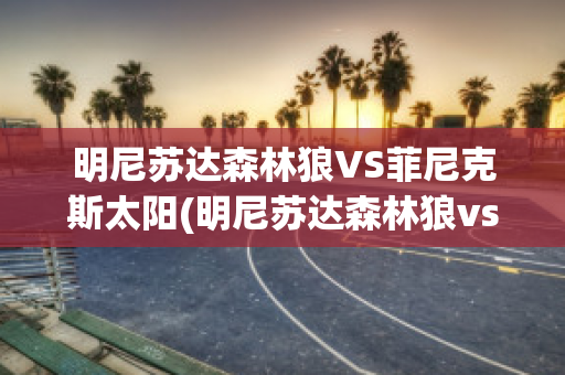 明尼苏达森林狼VS菲尼克斯太阳(明尼苏达森林狼vs洛杉矶湖人)