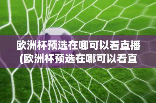 欧洲杯预选在哪可以看直播(欧洲杯预选在哪可以看直播啊)