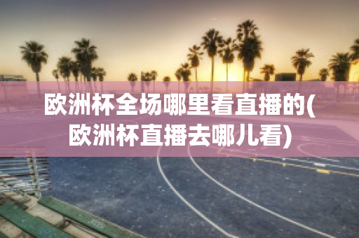 欧洲杯全场哪里看直播的(欧洲杯直播去哪儿看)