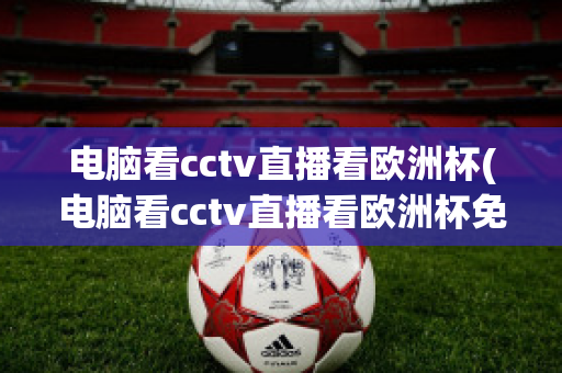 电脑看cctv直播看欧洲杯(电脑看cctv直播看欧洲杯免费吗)