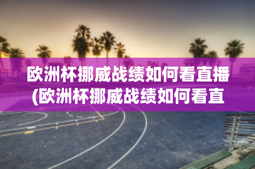 欧洲杯挪威战绩如何看直播(欧洲杯挪威战绩如何看直播的)