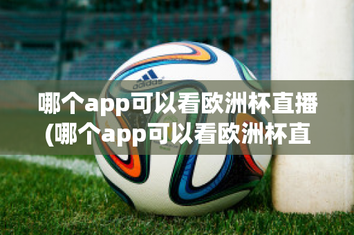 哪个app可以看欧洲杯直播(哪个app可以看欧洲杯直播视频)