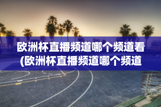 欧洲杯直播频道哪个频道看(欧洲杯直播频道哪个频道看回放)