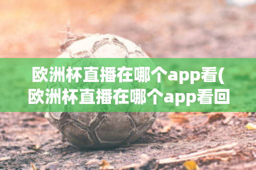 欧洲杯直播在哪个app看(欧洲杯直播在哪个app看回放)