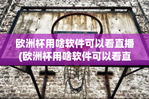 欧洲杯用啥软件可以看直播(欧洲杯用啥软件可以看直播呢)