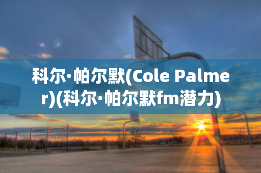 科尔·帕尔默(Cole Palmer)(科尔·帕尔默fm潜力)