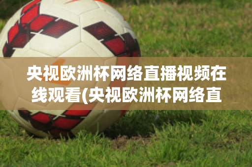 央视欧洲杯网络直播视频在线观看(央视欧洲杯网络直播视频在线观看免费)