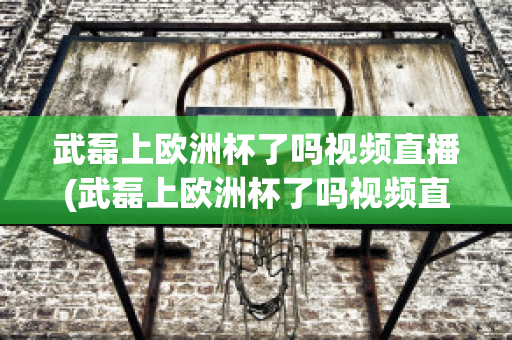 武磊上欧洲杯了吗视频直播(武磊上欧洲杯了吗视频直播在线观看)