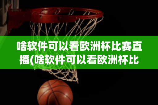 啥软件可以看欧洲杯比赛直播(啥软件可以看欧洲杯比赛直播的)