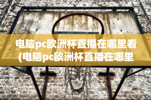 电脑pc欧洲杯直播在哪里看(电脑pc欧洲杯直播在哪里看回放)