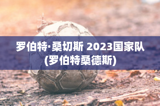 罗伯特·桑切斯 2023国家队(罗伯特桑德斯)