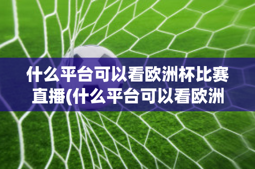 什么平台可以看欧洲杯比赛直播(什么平台可以看欧洲杯比赛直播视频)