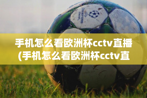 手机怎么看欧洲杯cctv直播(手机怎么看欧洲杯cctv直播回放)