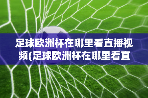 足球欧洲杯在哪里看直播视频(足球欧洲杯在哪里看直播视频回放)