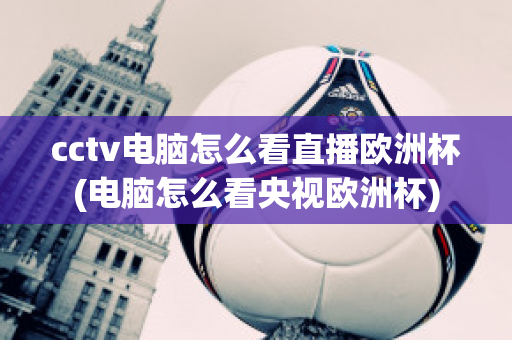 cctv电脑怎么看直播欧洲杯(电脑怎么看央视欧洲杯)