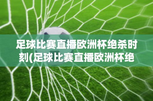 足球比赛直播欧洲杯绝杀时刻(足球比赛直播欧洲杯绝杀时刻回放)