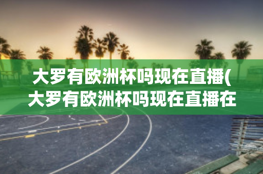 大罗有欧洲杯吗现在直播(大罗有欧洲杯吗现在直播在哪看)