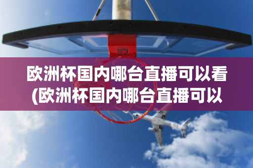 欧洲杯国内哪台直播可以看(欧洲杯国内哪台直播可以看)