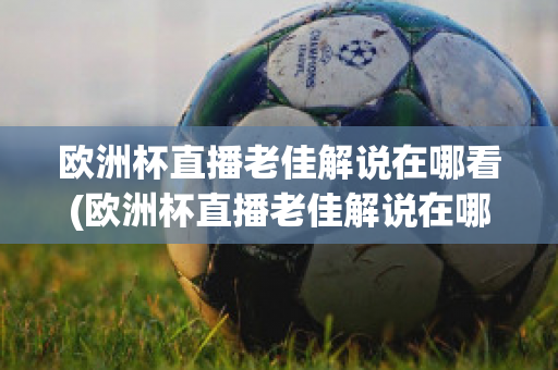 欧洲杯直播老佳解说在哪看(欧洲杯直播老佳解说在哪看回放)