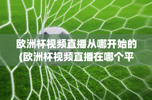 欧洲杯视频直播从哪开始的(欧洲杯视频直播在哪个平台)