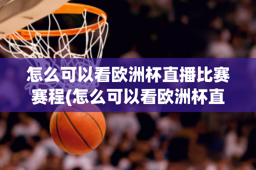 怎么可以看欧洲杯直播比赛赛程(怎么可以看欧洲杯直播比赛赛程视频)