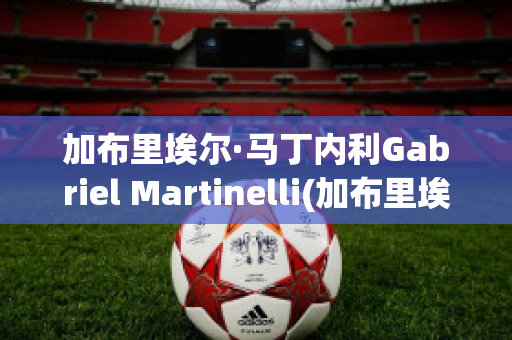 加布里埃尔·马丁内利Gabriel Martinelli(加布里埃尔·马丁内利号码)